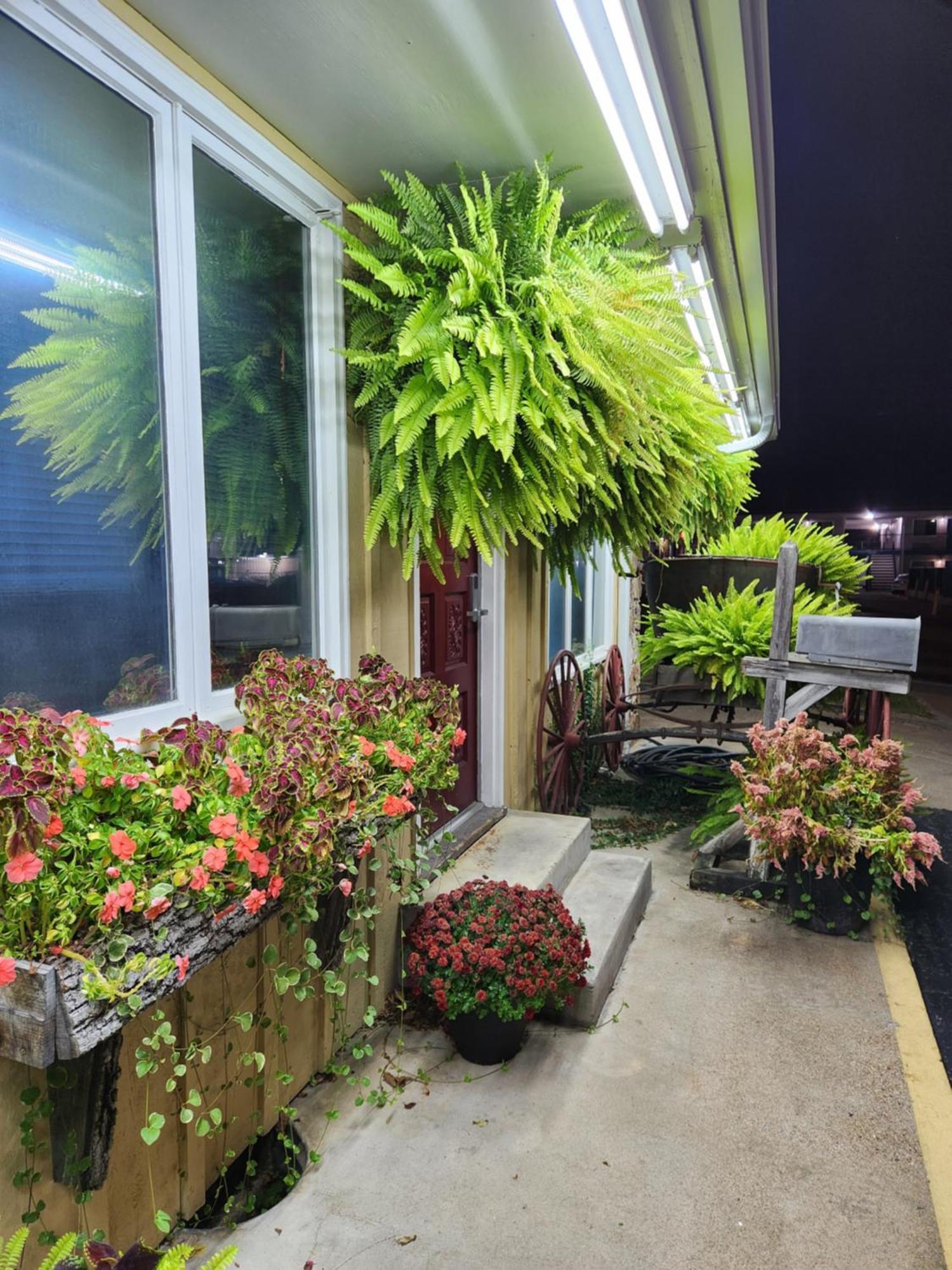 Motel Homestead 3*